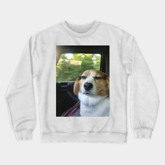 The Grumpy Beagle Crewneck Sweatshirt by Layla's Surgery Fundraiser